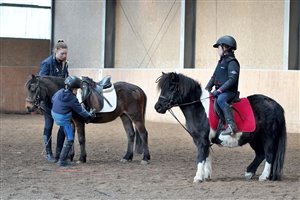 Reitunterricht in Seefeld